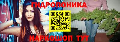 спайс Дубна