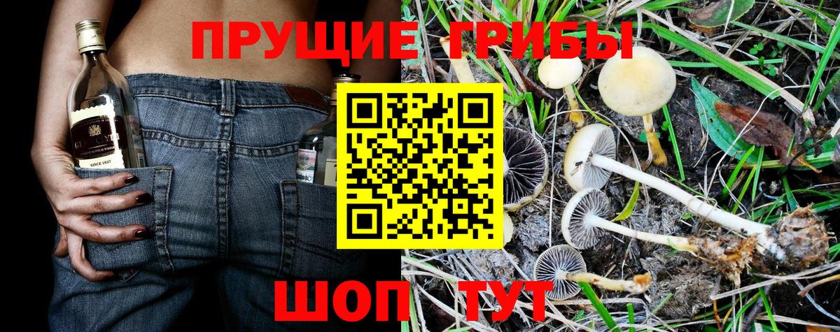 Псилоцибиновые грибы ЛСД Новочеркасск
